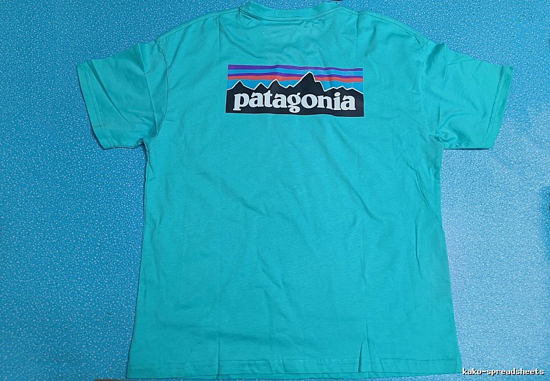 Patagonia Blue Logo T-Shirt Training Look Graphic
