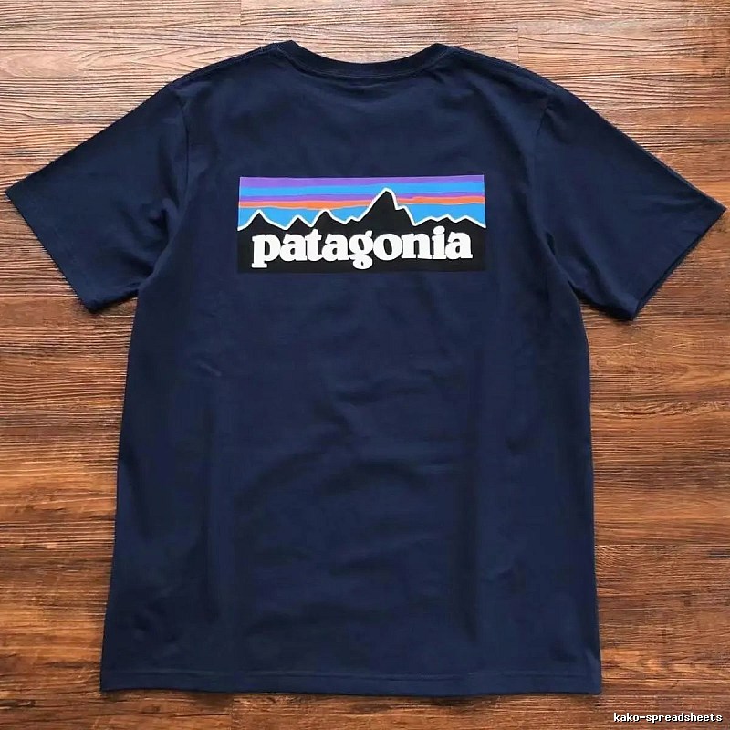 Patagonia Navy Logo T-Shirt City Outfit Graphic